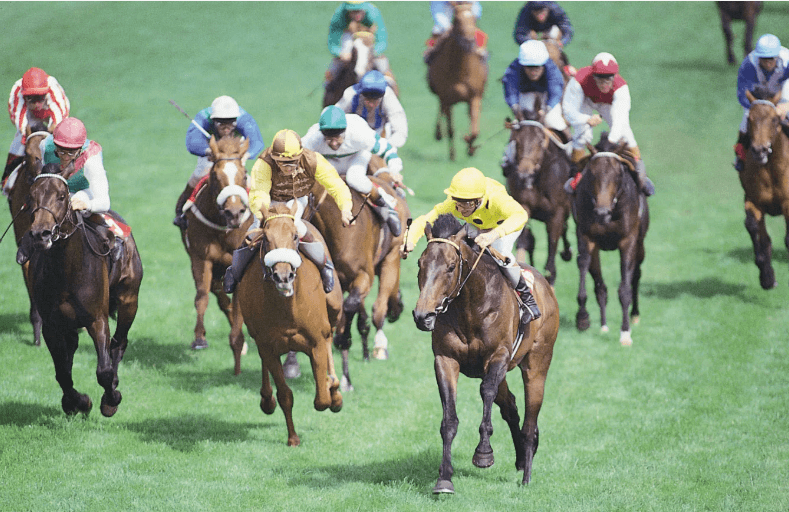 The History of Horse Racing: From Ancient Times to Modern Day